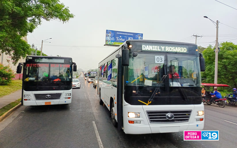BUSES
