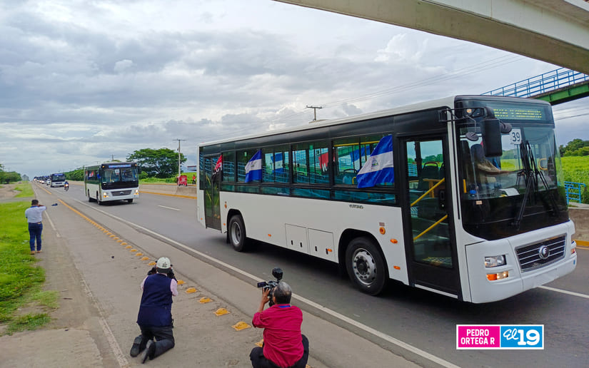 BUSES