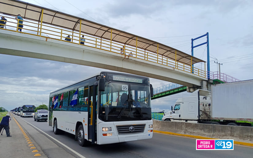 BUSES