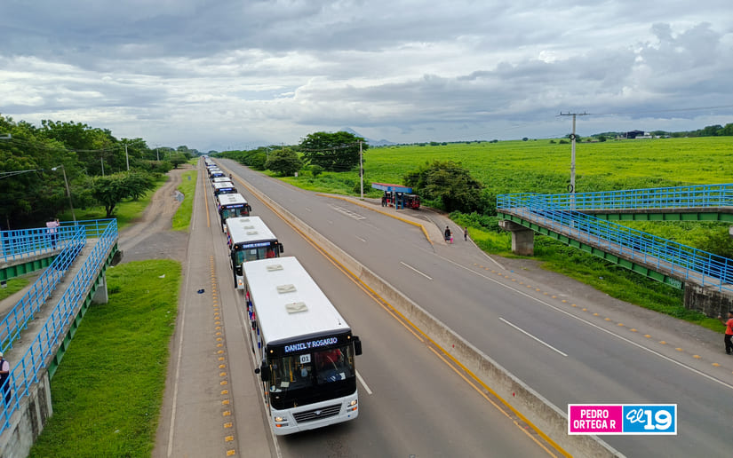 BUSES