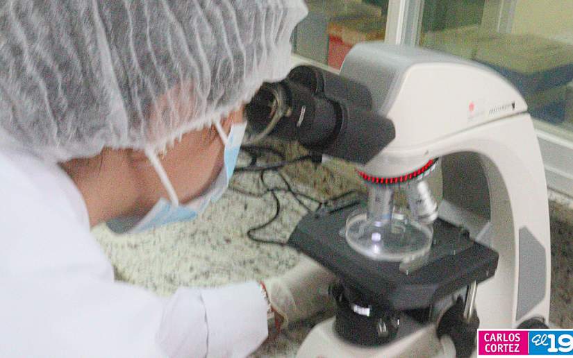 LABORATORIO8
