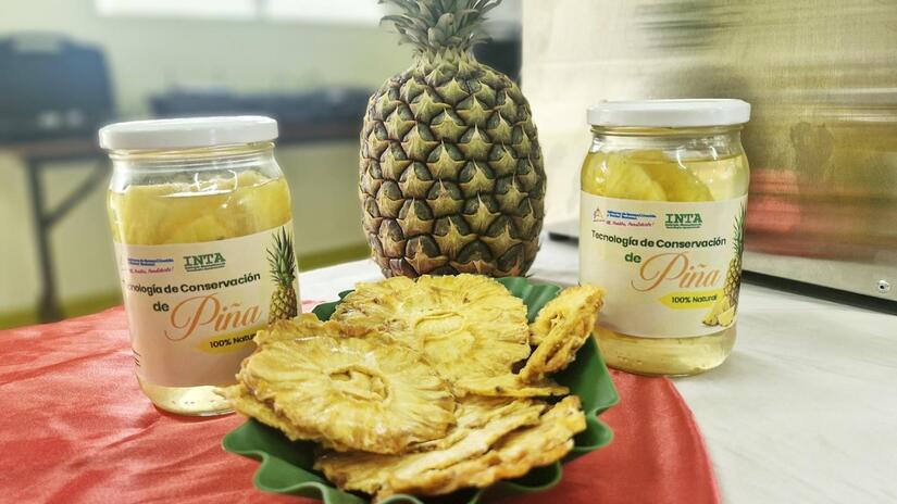 PINA3