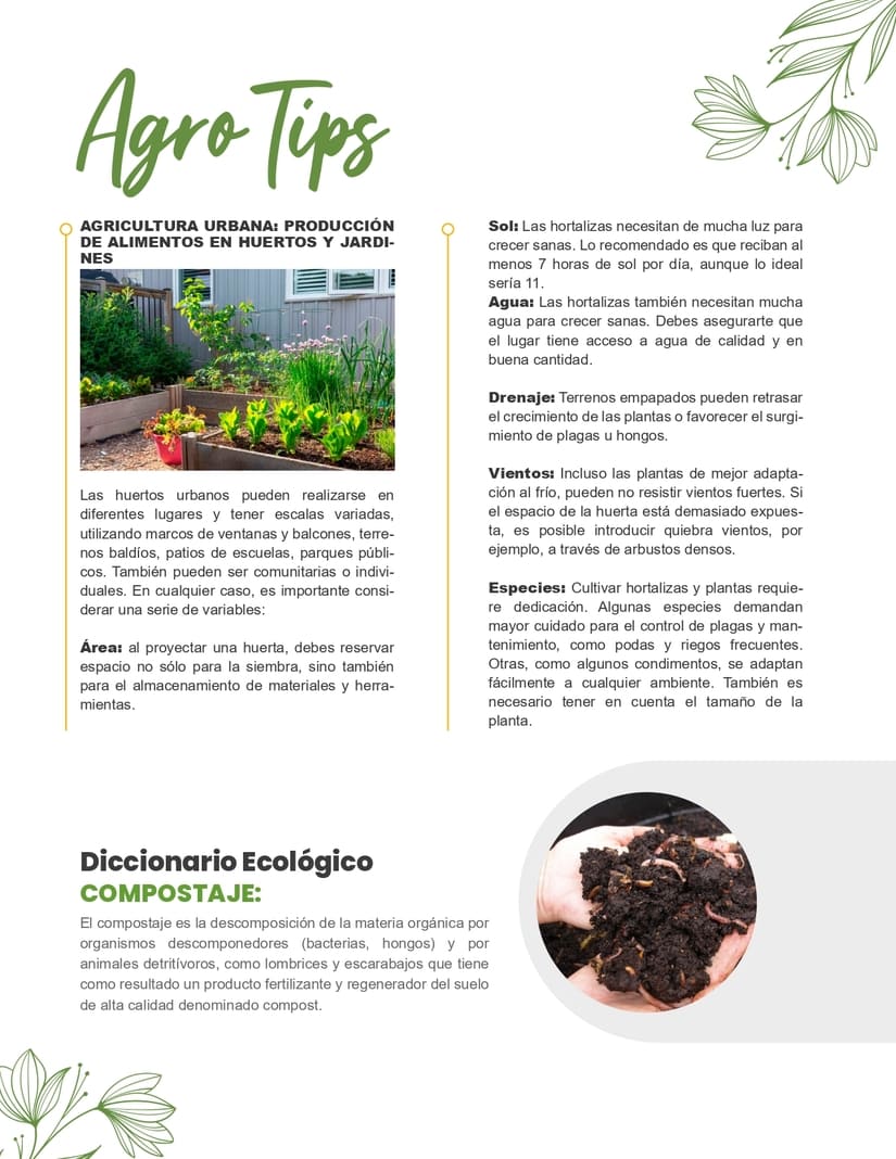 MEFCCA---BOLETIN-INFORMATIVO-09-AL-15-DE-DICIEMBRE_page-0008