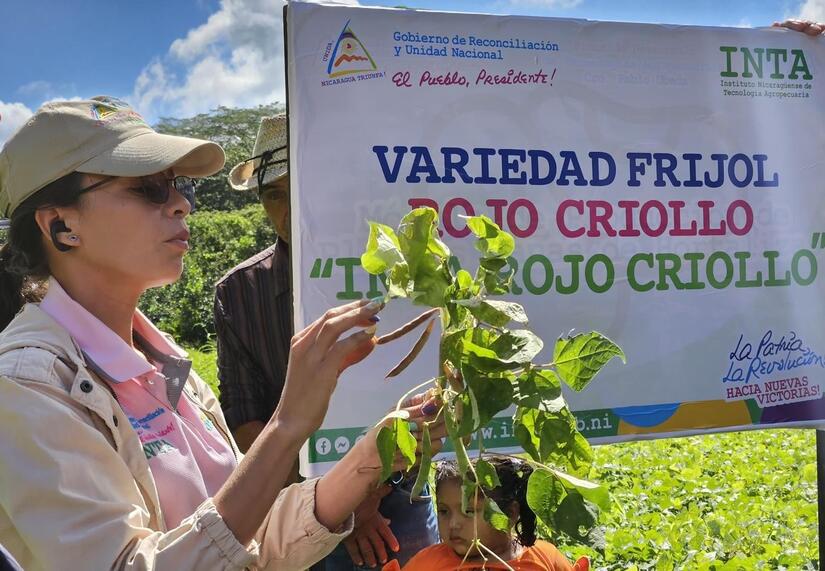 FRIJOL10