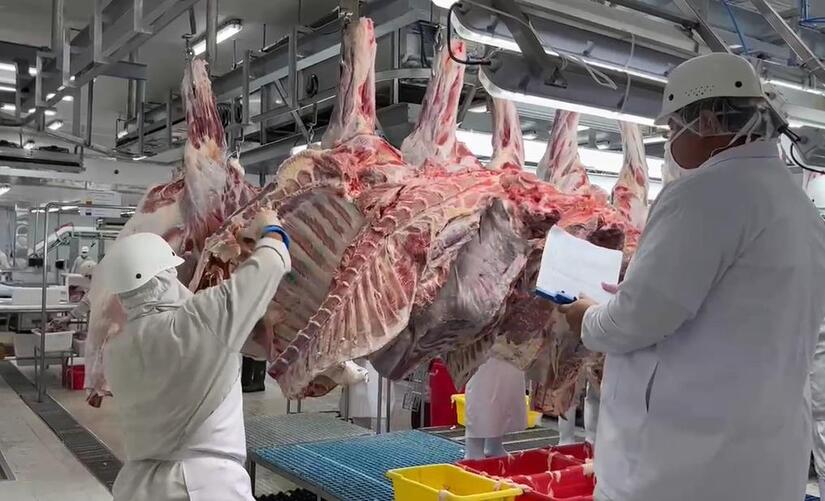 CARNE3