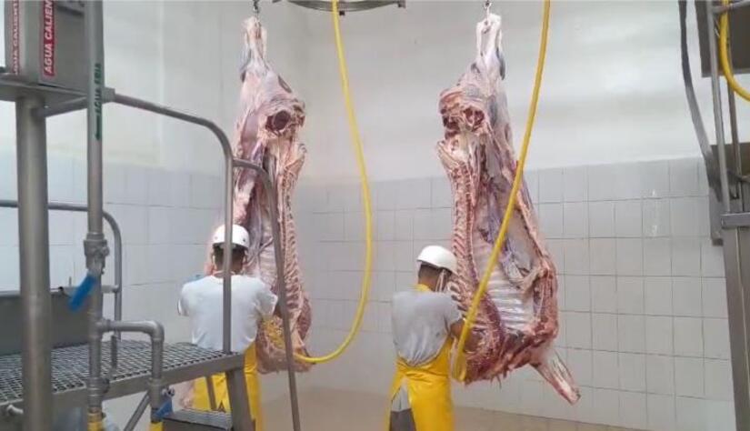 CARNE8