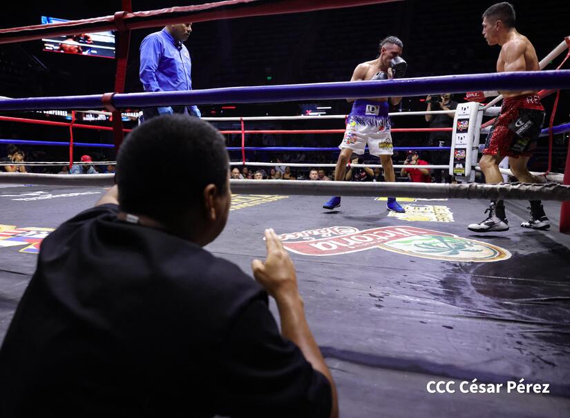 BOXEO-(1)