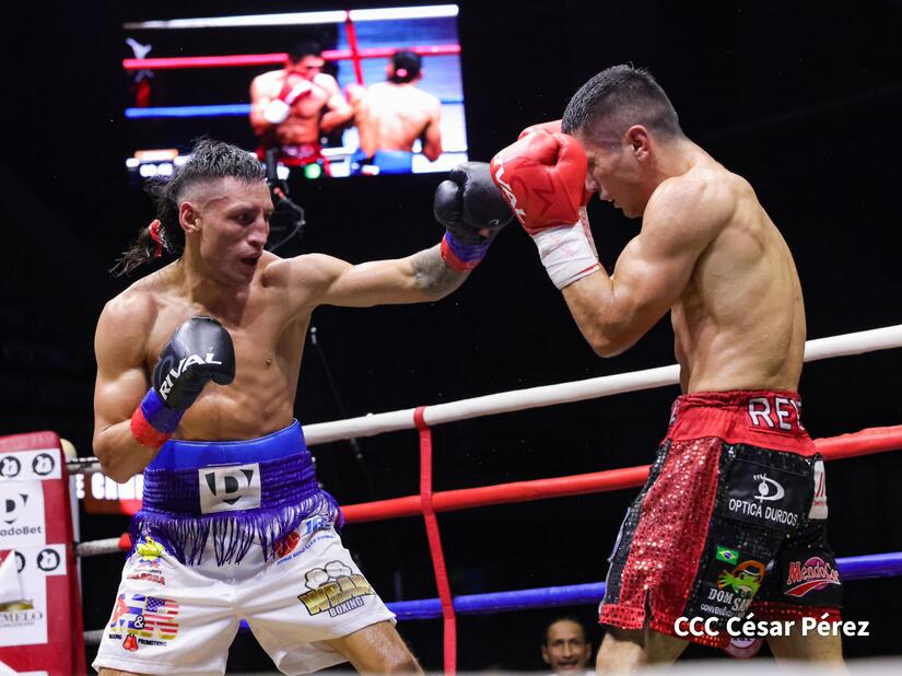 BOXEO-(16)