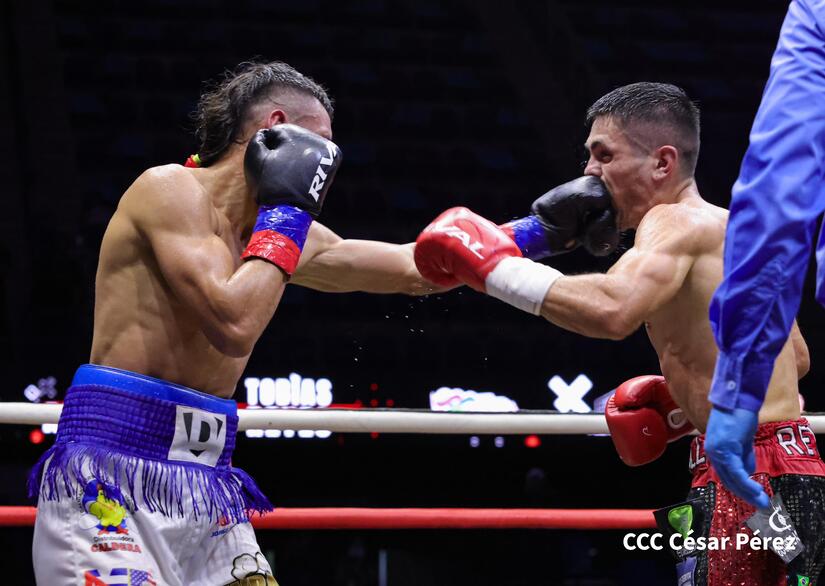BOXEO-(28)