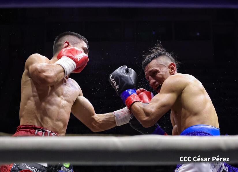 BOXEO-(3)