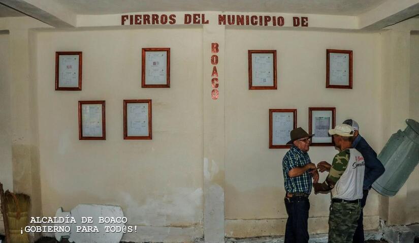MUSEO-(1)