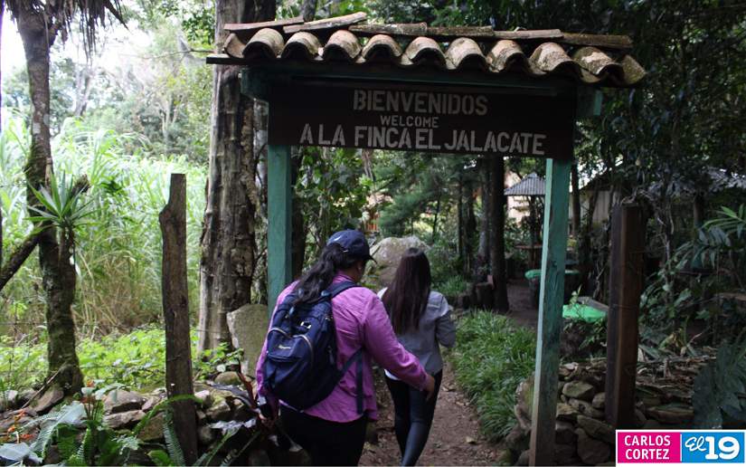 estel&iacute;