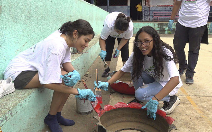 REFORESTACION