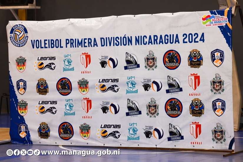 ALCALDIA