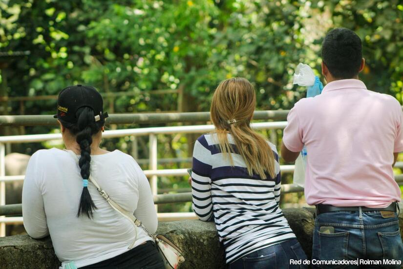 ZOO