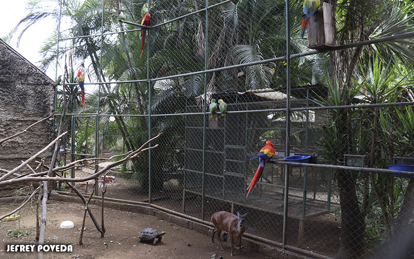 ZOO