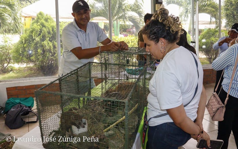 ANIMALES