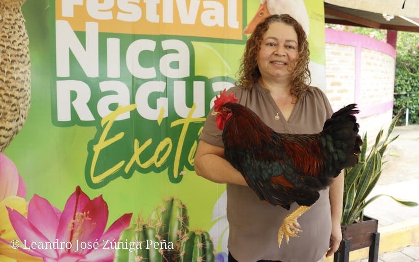 ANIMALES