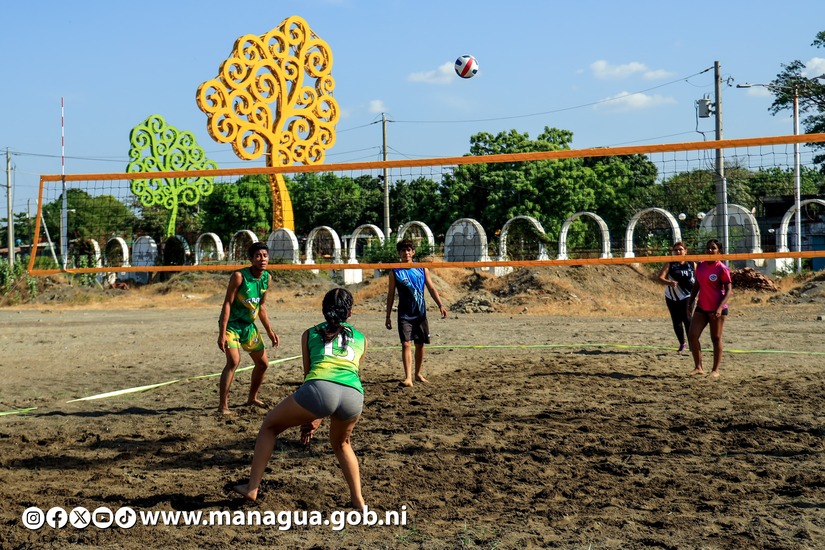 voley