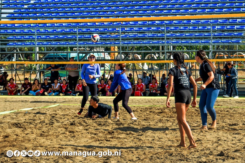 voley