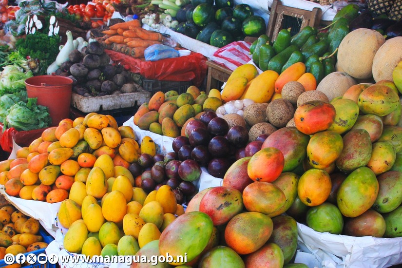 VENTA
