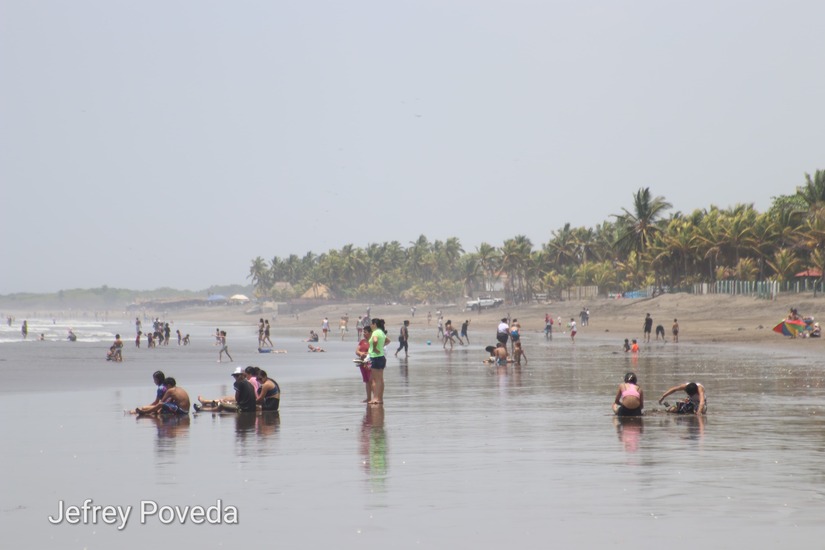 poneloya