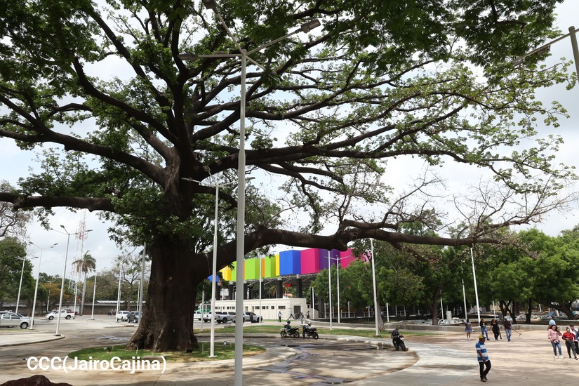 PARQUE