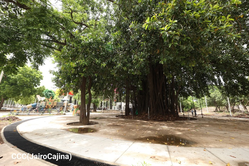 PARQUE