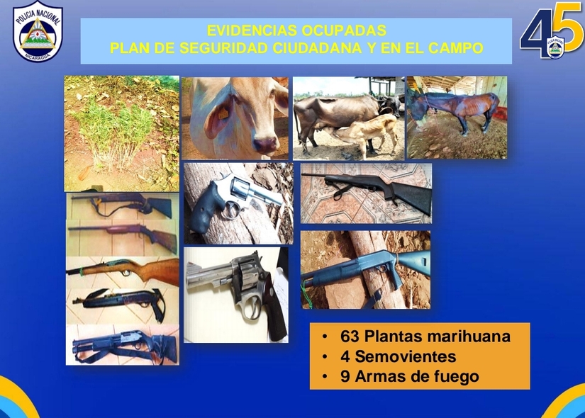 RESULTADO