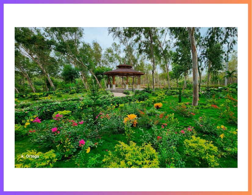 PARQUE