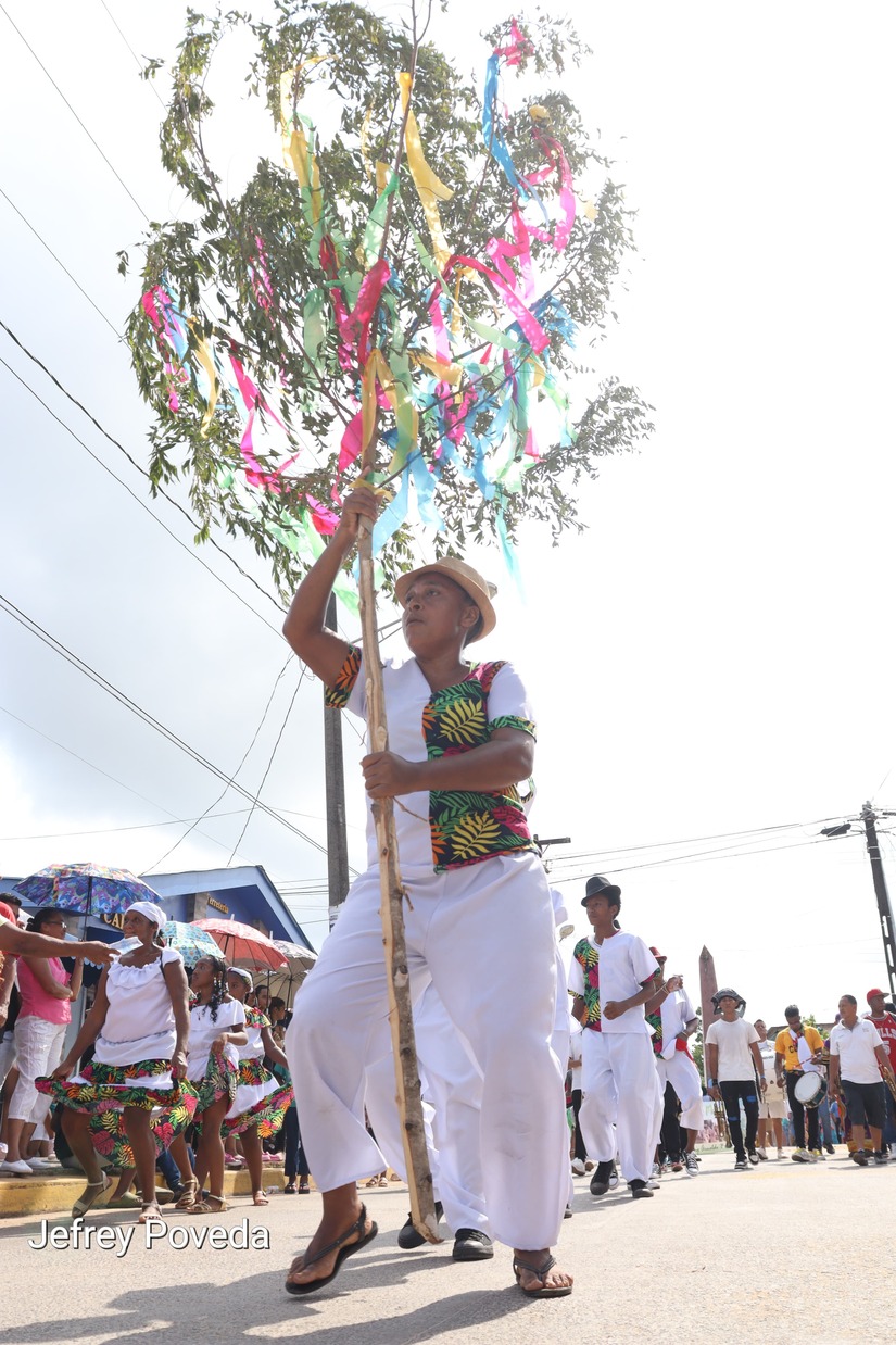 palo