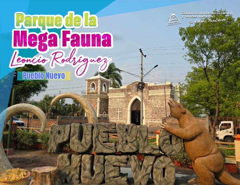 fauna