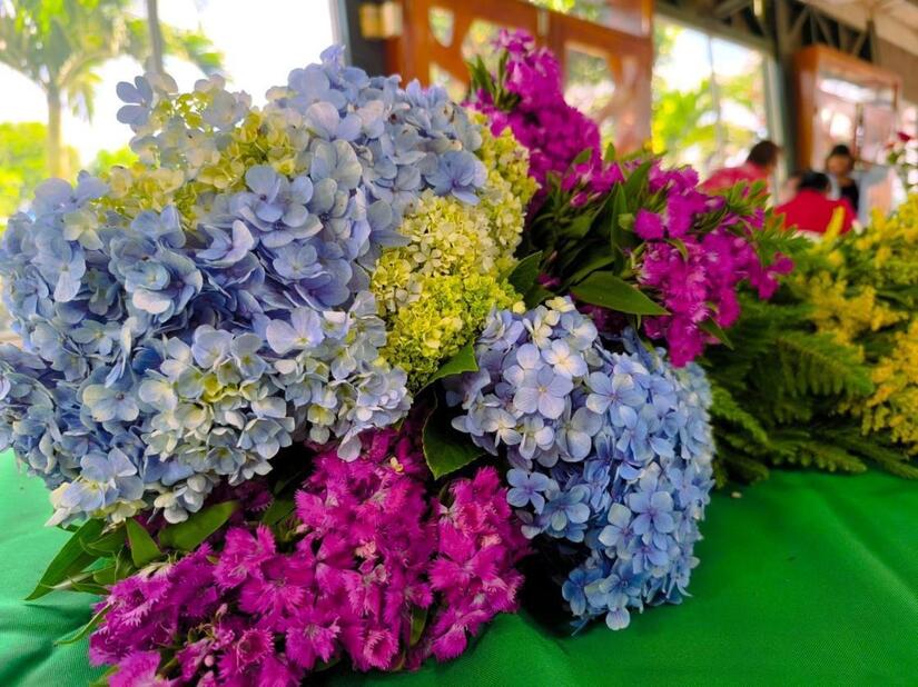 FLORES