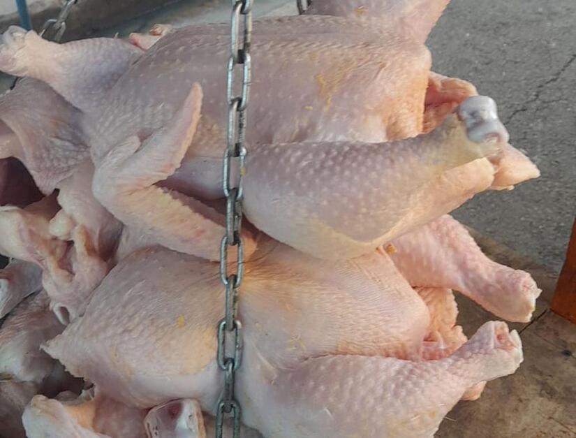 POLLO1