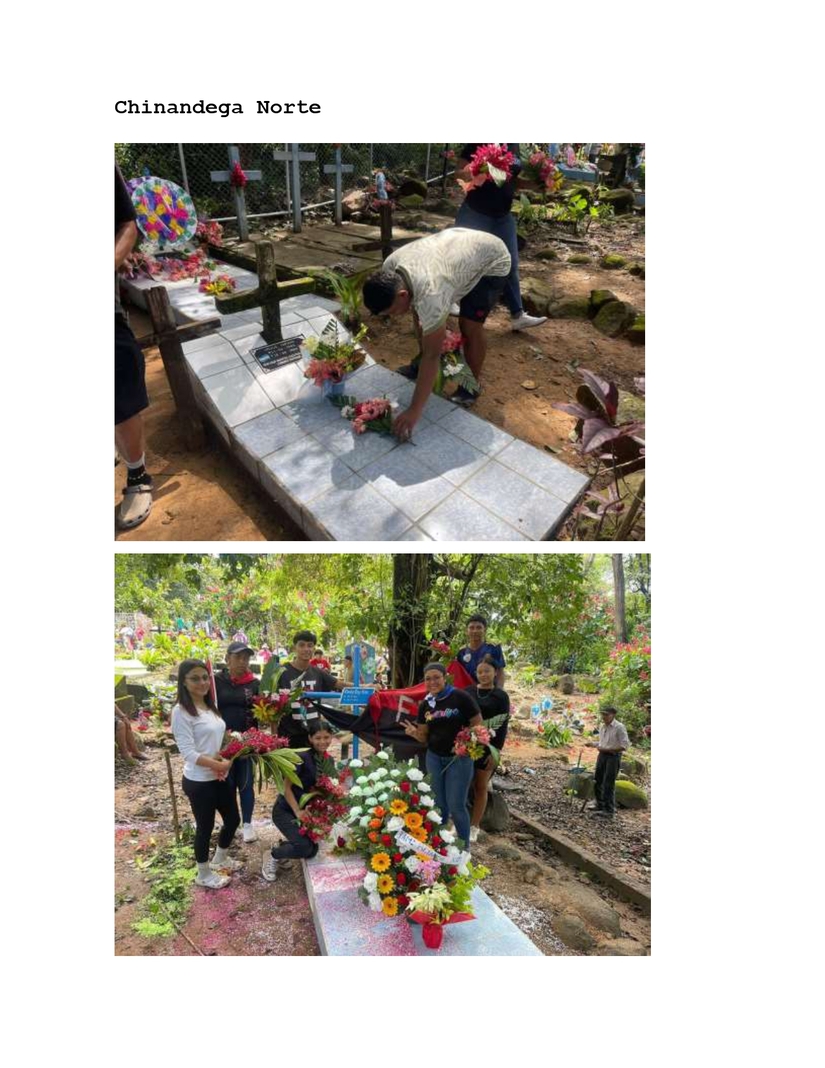 Reporte-Entrega-de-Flores-Departamentos-de-todo-el-pais_page-0024