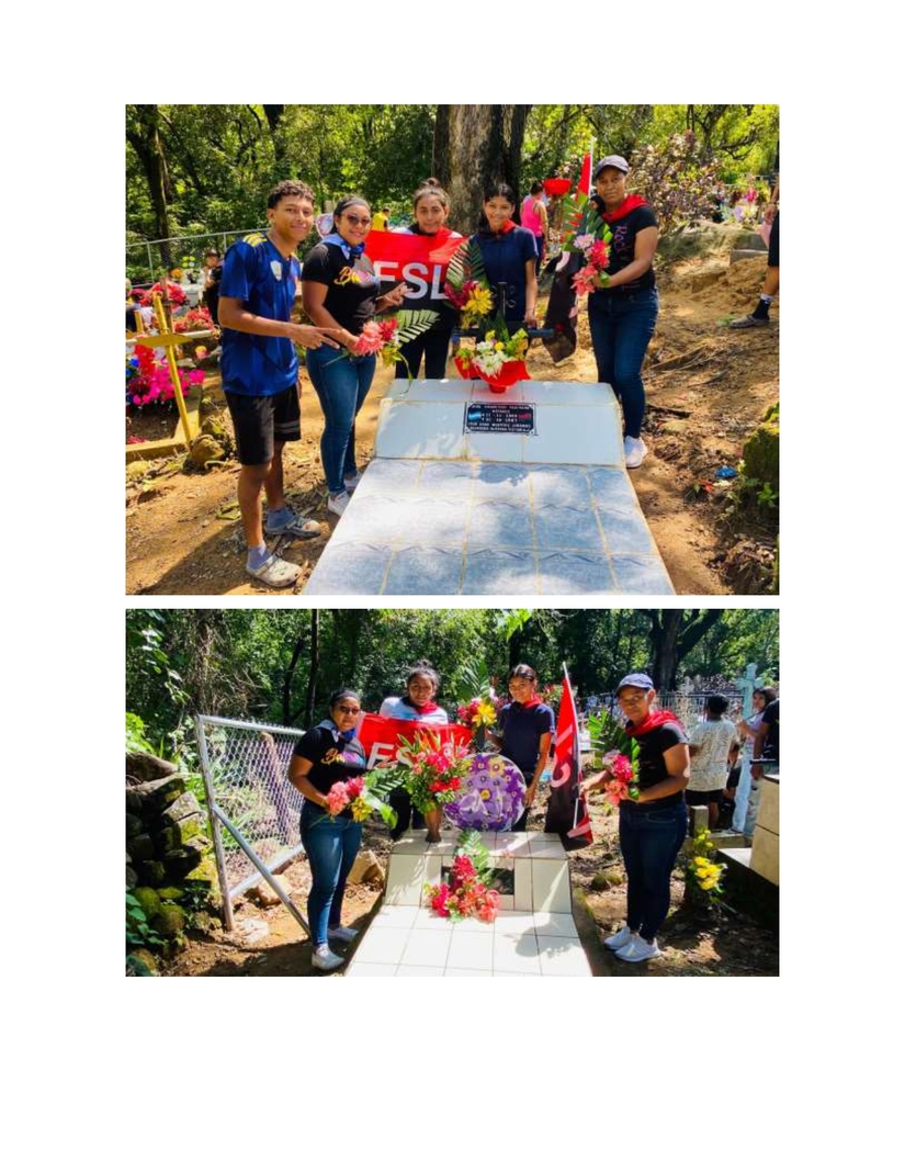 Reporte-Entrega-de-Flores-Departamentos-de-todo-el-pais_page-0026