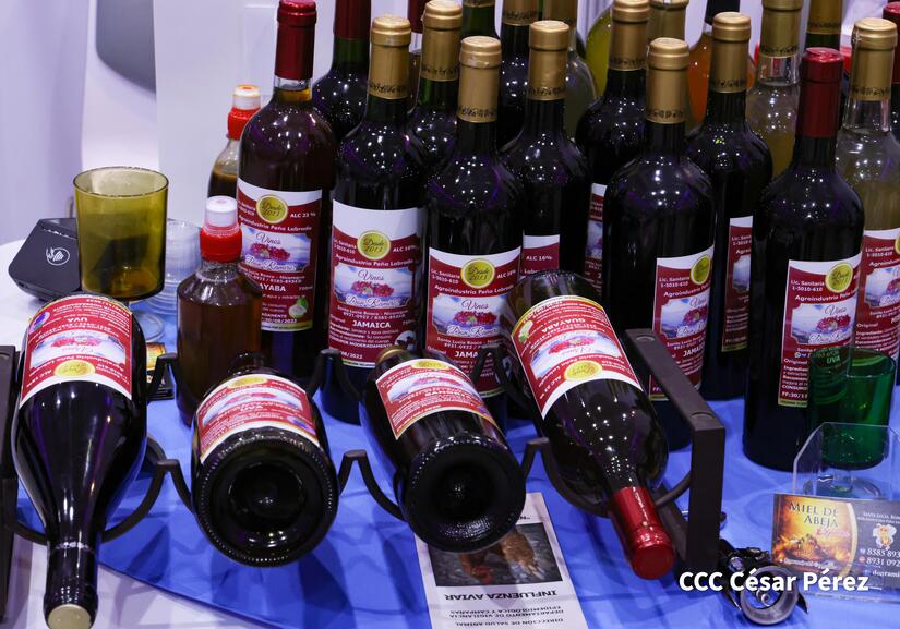 nicaragua-emprende-(7)