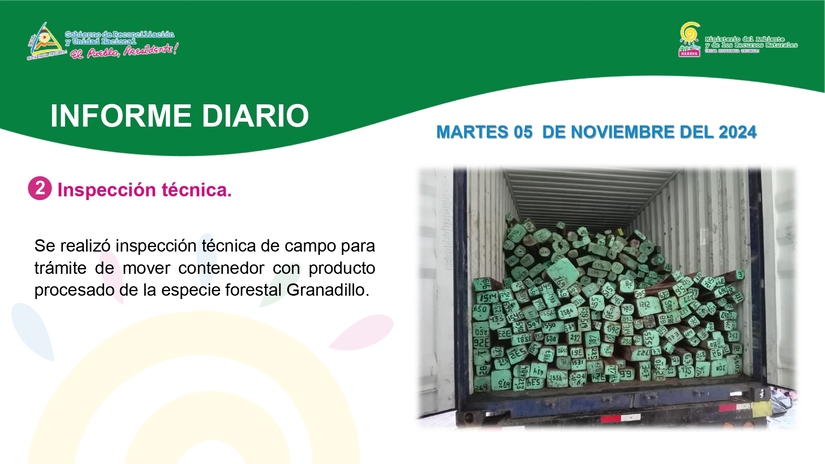 Informe-Fotografico-05-de-noviembre_pages-to-jpg-0002