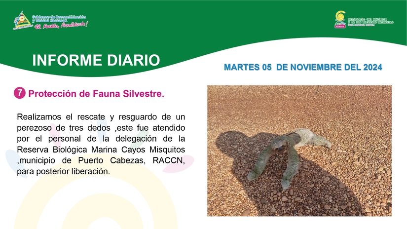 Informe-Fotografico-05-de-noviembre_pages-to-jpg-0007