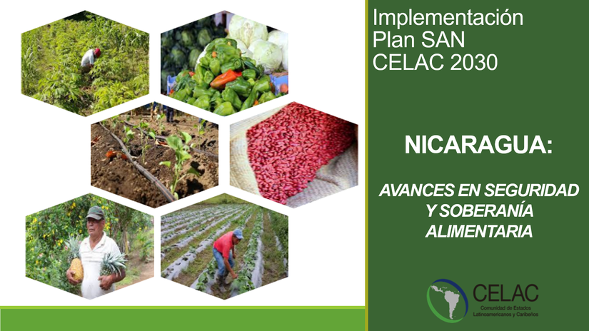 celac-1