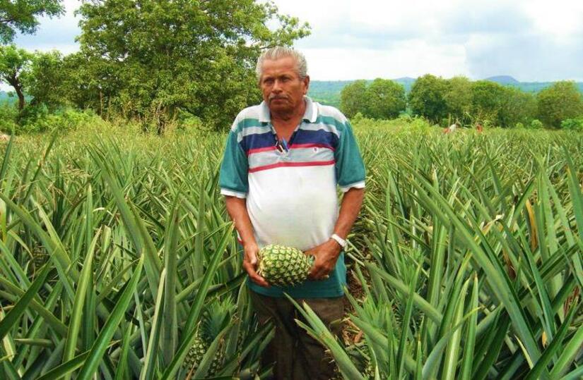 PINA7