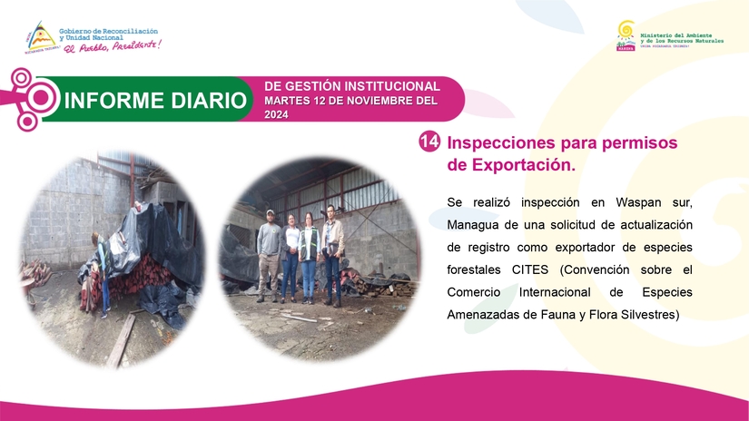 INFORME14