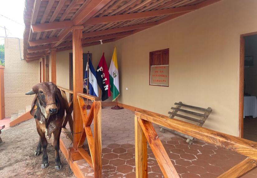 museo-(4)