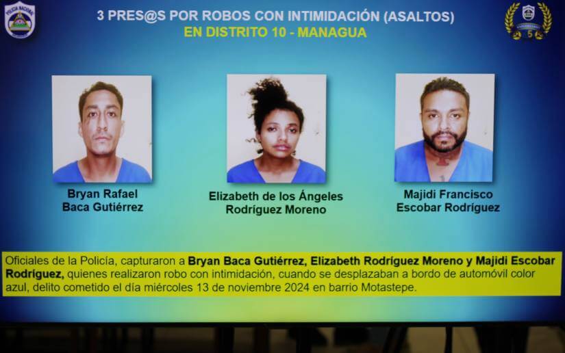 informe-delicuencia-10