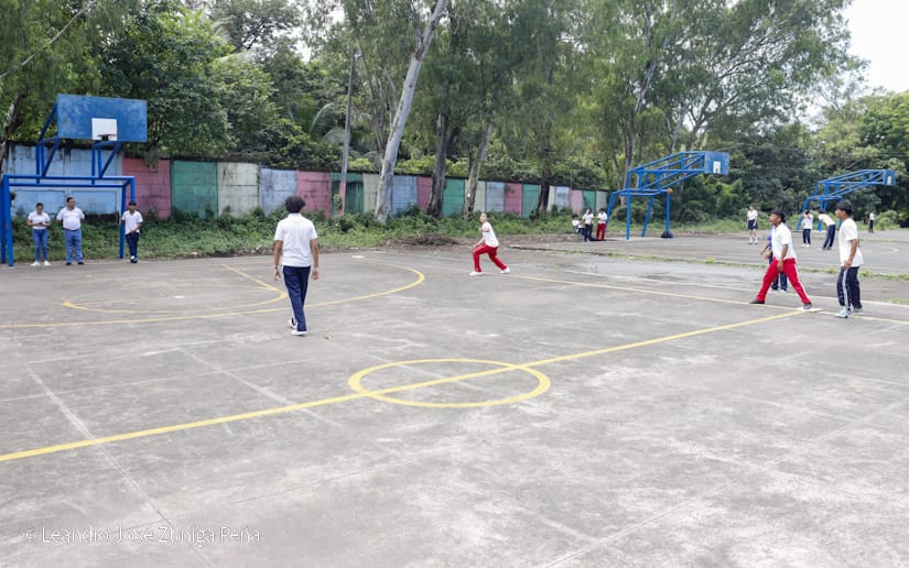 BEISBOL8