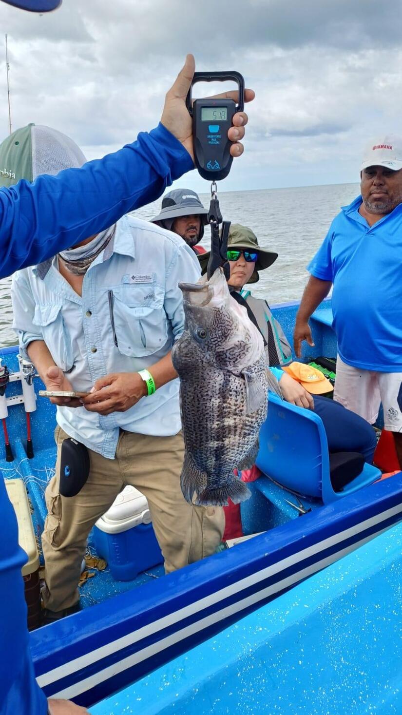 PESCA8