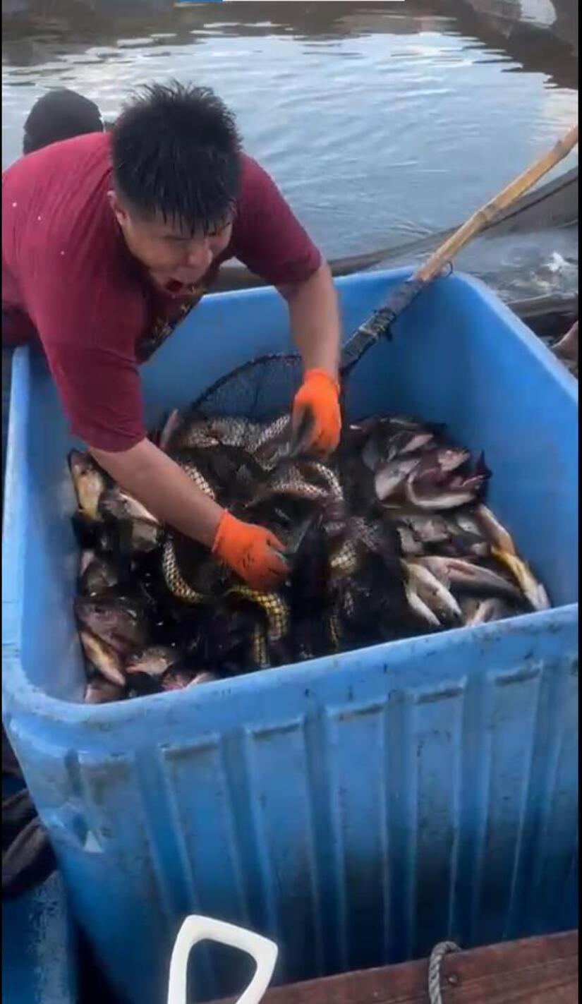INPESCA1