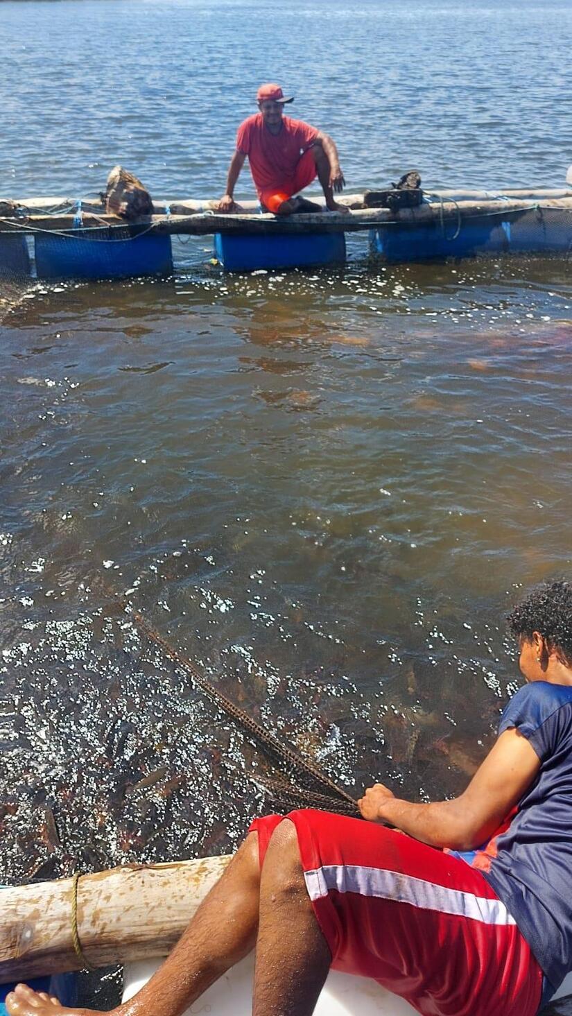 INPESCA2