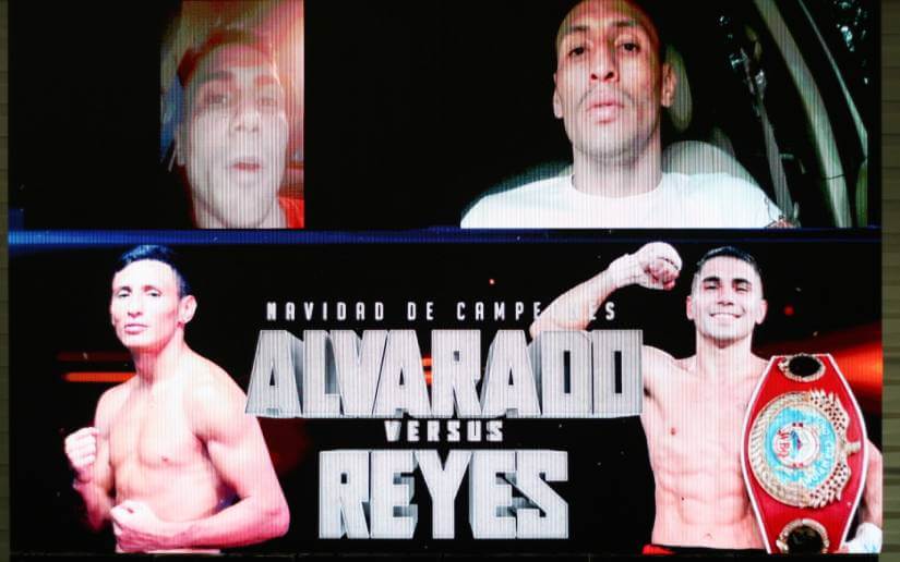 BOXEO-(1)