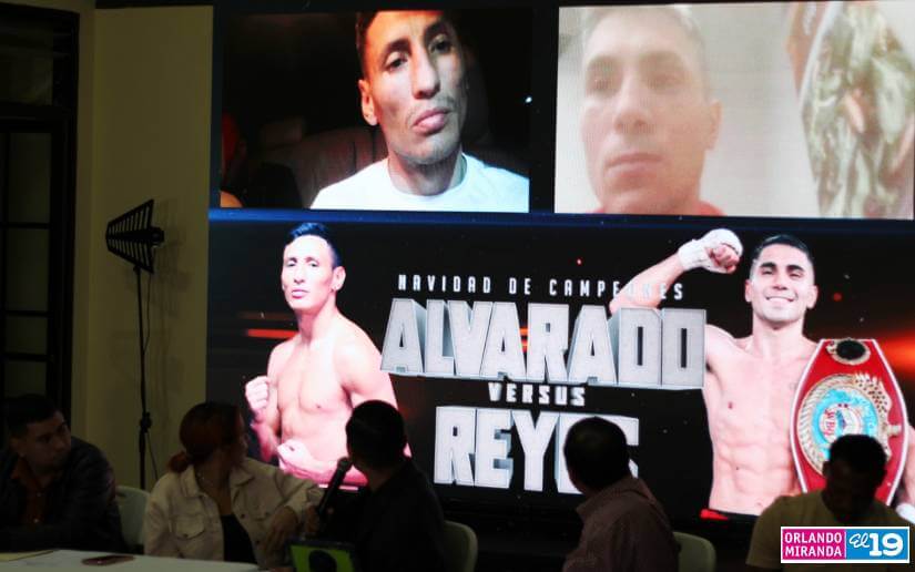 BOXEO-(4)